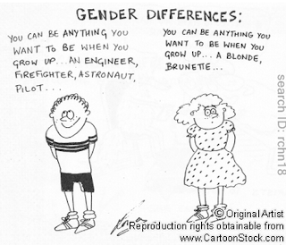 Essay gender roles